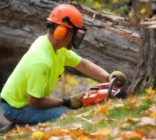 tree services Braham